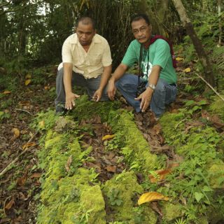 Lluvia torrencial desentierra tumbas de hace mil 200 años en China