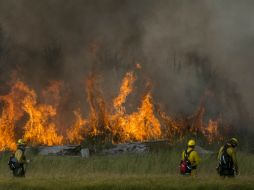 California registra una veintena de incendios, combatidos por más de diez mil bomberos. AP / J. Bessex