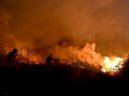 Se estudia la posibilidad de evacuar a otros pueblos de la zona en caso de que avance la línea de fuego. EFE / N. Ferreira
