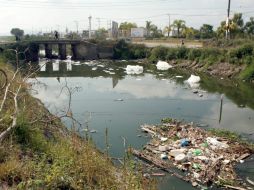 Autoridades forenses se encargarán de establecer las causas de la muerte. EL INFORMADOR / ARCHIVO