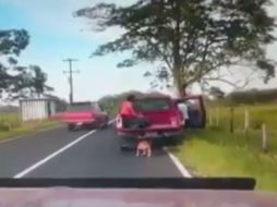 El video fue compartido por una asociación denominada 'Adopt Tabasco Adopta' FACEBOOK / Adopt Tabasco Adopta