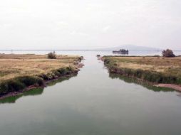 El Proyecto Hidráulico del Lago de Texcoco incluye obras para la regulación de escurrimientos y reforestación del Valle de México. TWITTER / @conagua_mx