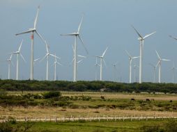 Subraya las repercusiones positivas de que exista una Ingeniería en Energías Renovables. NTX / ARCHIVO