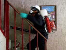 El equipo de fumigación acudió a la escuela Abraham Castellanos. AFP / ARCHIVO