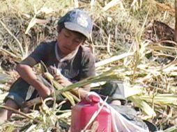 Los menores reciben una liquidación por parte del dueño del rancho donde laboraban y son trasladados a Torreón. SUN / ARCHIVO