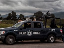 Elementos de la Sedena, Policía Federal y la PGR realizaron el operativo. EL INFORMADOR / ARCHIVO