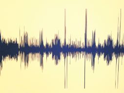 Queda claro que para la mayoría de los ciudadanos el ruido y su caos no son una molestia sino algo cercano a un intenso placer.  /