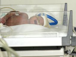 Hasta ahora, las investigaciones han permitido recuperar nueve bebés y consignar a 16 presuntos involucrados. EL INFORMADOR / ARCHIVO