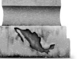 El “Bronco” es, para muchos, la nueva política que sin dinero y sin estructura partidista logra vencer a la “oligarquía de hierro”. EL INFORMADOR / ARCHIVO
