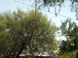 Estableció que a diario se registran tres mil intentos de suicidios y, aunque en México aún no hay estadísticas claras. EL INFORMADOR / ARCHIVO