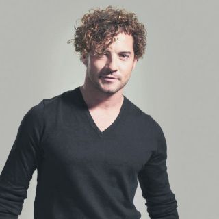 David Bisbal, el nuevo gallo del palenque