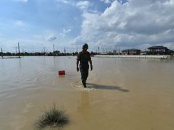 Equipos de rescate continúan con la búsqueda de las 16 personas desaparecidas. AFP / K. Nogi