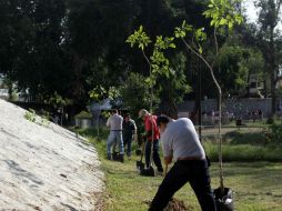En la reforestación de esta mañana en el Parque Hundido participan autoridades del Ayuntamiento  Guadalajara, la SCT y de Siteur. EL INFORMADOR / A. Hinojosa