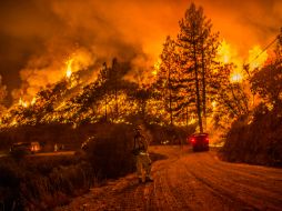Bomberos trabajaron todo el domingo para apagar el fuego eparcido. AP / A. Seng