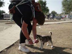 Aislan junto a su cachorra Rose, han llegado a Grecia en busca de un mejor lugar para vivir. FACEBOOK / UNHCR