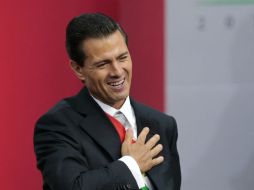 Durante la Cumbre Global de la Alianza en la Ciudad de México en octubre, Peña Nieto pedirá a 65 países que suscriban el acuerdo. EFE / ARCHIVO