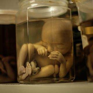 Científicos británicos piden permiso para modificar embriones humanos