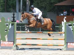 Pablo Toscano, a lomos de 'Rosaura Las Palmas', durante la prueba abierta a 1.20 metros. EL INFORMADOR / M. Vargas