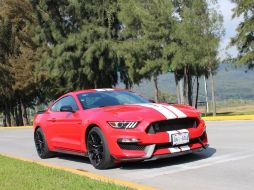 El nuevo Shelby es un auto refinado como nunca antes lo fue un Mustang. EL INFORMADOR / M. Castillo