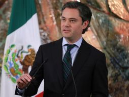 Respeto a la ley e implementación de la reforma educativa, condiciones de Nuño para iniciar diálogo con la CNTE. NTX / ARCHIVO