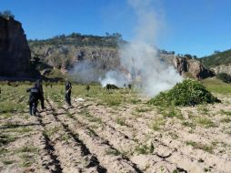 Se localizaron ocho mil metros de manguera de plástico del supuesto sistema de riego. EFE / CNS