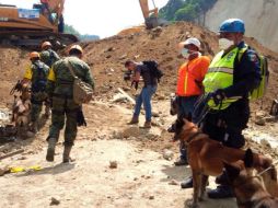 Es necesario determinar si las condiciones de seguridad permiten seguir con el rescate. NTX / Cortesía