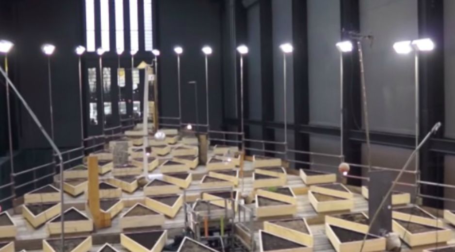 Cruzvillegas afirmó que la escultura hace alusión a la esperanza, un lote baldío donde algo puede crecer de la nada. YOUTUBE / NotimexTV