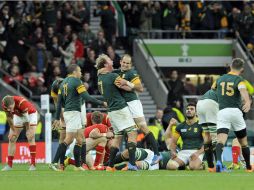 Con esta victoria, Sudáfrica se convierte en el primer equipo clasificado para las semifinales del Mundial de rugby de Inglaterra. EFE / G. Penny