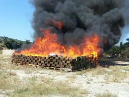 La incineración se realizó en un predio ubicado en Zapopan. ESPECIAL / PGR Jalisco
