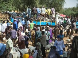 El fenómeno persiste en las zonas rurales del país, donde las palabras tierra y esclavitud están, desgraciadamente, vinculadas. NTX / L. Pistone