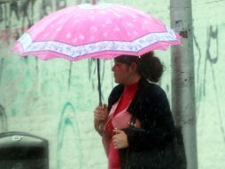 Esos municipios resultaron dañados por el fenómeno natural. EL INFORMADOR / ARCHIVO