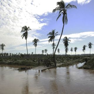Agricultores, los más afectados por 'Patricia'