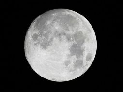 Científicos esperan que el lado oscuro de la Luna contenga grandes cantidades de agua congelada. AP / ARCHIVO