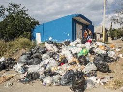 Las bolsas de plásticos tardan en descomponerse cientos de años y contienen componentes tóxicos que contaminan suelos y agua. EL INFORMADOR / ARCHIVO