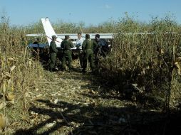 El operativo es efectuado por elementos del Ejército Mexicano, en cooperación con efectivos de la AIC. EL INFORMADOR / ARCHIVO