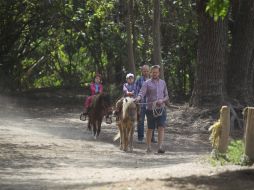 La declaratoria no impedirá edificar en los predios, propiedad de particulares. EL INFORMADOR / A. Hinojosa