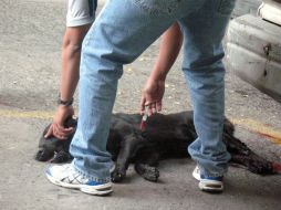 Vieira permanecerá preso, sin posibilidad de salir bajo fianza, hasta que sea juzgado. EL INFORMADOR / ARCHIVO