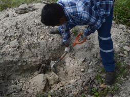 En las tres fosas halladas hasta el momento sólo han ubicado restos de dos personas, huesos y cabellos. SUN / D. Téllez