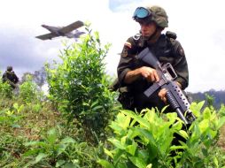 Mantendrán las operaciones militares en el departamento de Antioquia por unos días. AFP / ARCHIVO