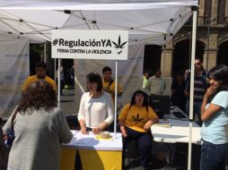 La organización ''Regulación ya'' invita a firmar a favor de la regulación para terminar con la violencia en el país. TWITTER / @El_Universal_Mx