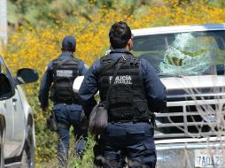 La PGR ya trabaja en la identificación de los cuerpos. EFE / L. Ocampo