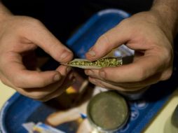 Antes de culminar la pasada Legislatura de Jalisco se rechazó el uso medicinal de la mariguana.  /