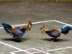 Al lugar arribó personal de la Policía para acordonar el lugar y realizar las investigaciones correspondientes. EL INFORMADOR / ARCHIVO