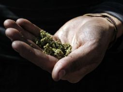 La iniciativa contempla que los medicamentos se puedan ubicar en farmacias especiales. EL INFORMADOR / ARCHIVO