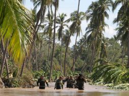 Del total de municipios impactados por 'Patricia', 34 corresponden al Estado de Jalisco. EFE / ARCHIVO