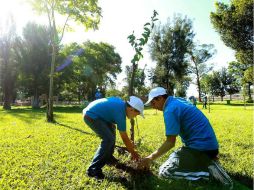 En el Parque Montenegro se construyó una planta de tratamiento de aguas residuales para regar las áreas verdes. EL INFORMADOR / ARCHIVO