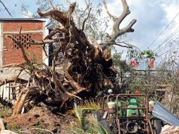El meteoro provocó afectaciones en calles, granjas y hectáreas. EL INFORMADOR / ARCHIVO