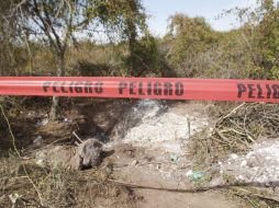 Desconocen cuánto tiempo estarán en el lugar ya que deben verificar las condiciones del lugar. EL INFORMADOR / ARCHIVO