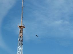 Las radiodifusoras multadas son de los municipios de Nezahualcóyotl, Cortázar y Tarandacuao. EL INFORMADOR / ARCHIVO