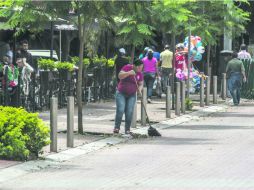 Una de las obras que terminarán este año será la nivelación de banquetas en la avenida Chapultepec. EL INFORMADOR / R. Tamayo